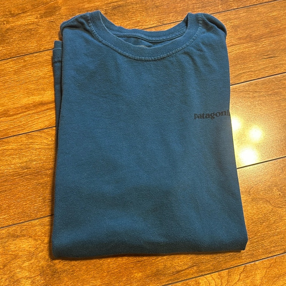 Patagonia tshirt